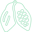 Cacao